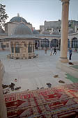 Istanbul, Sokollu Mehmet Pasa Camii 